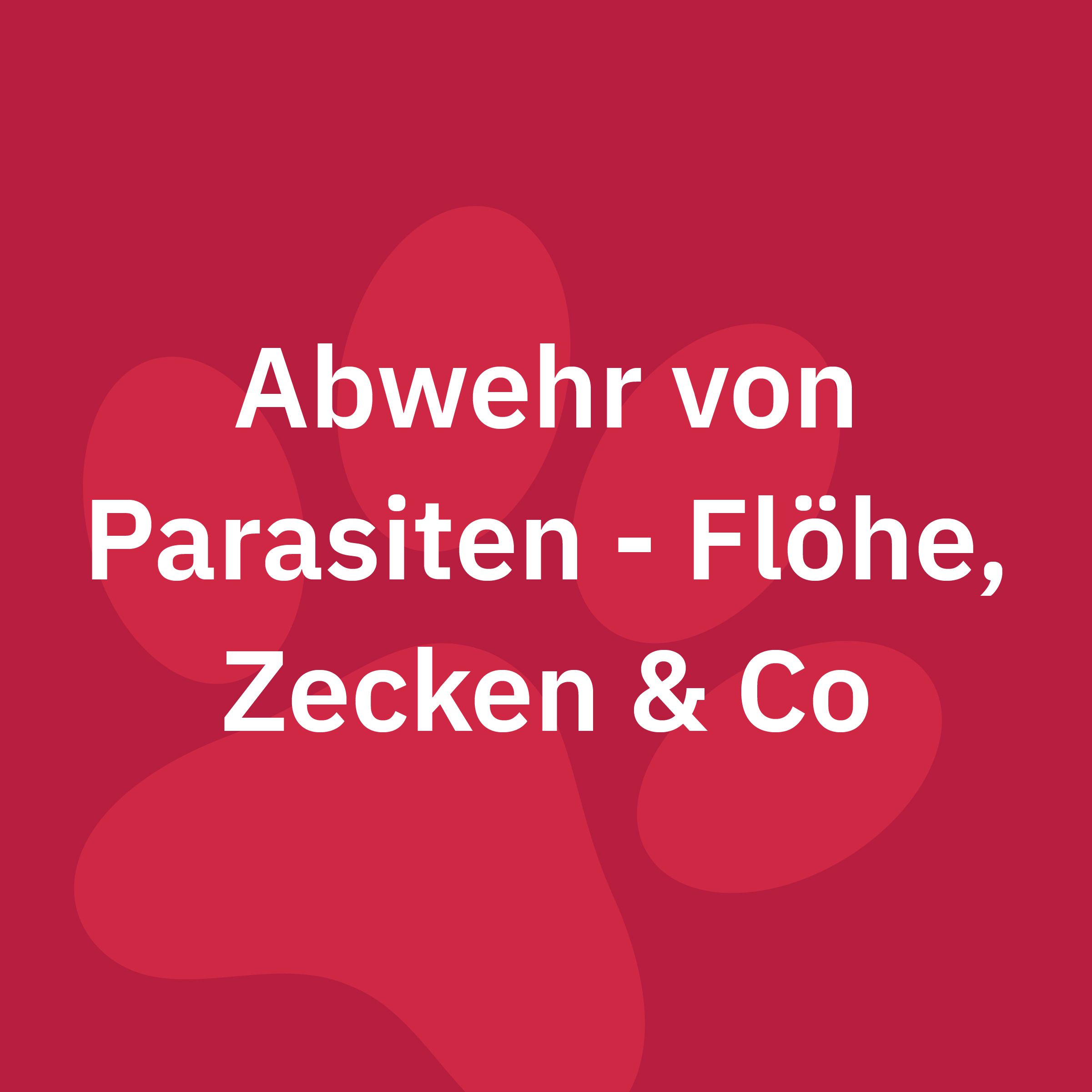 Abwehr von Parasiten - Flöhe, Zecken & Co