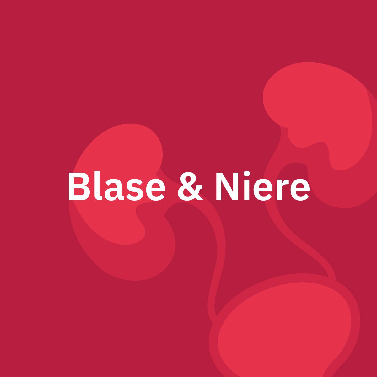 Blase & Niere