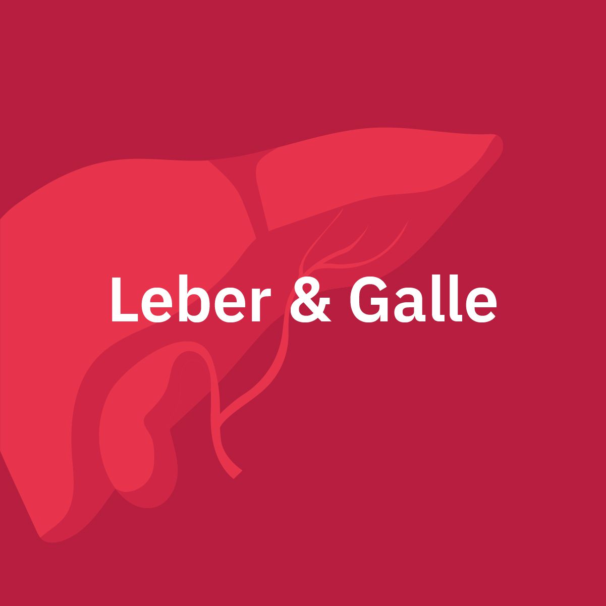 Leber & Galle