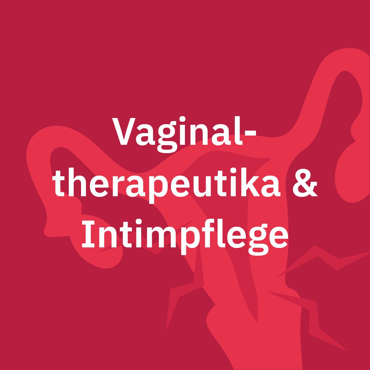 Vaginaltherapeutika & Intimpflege